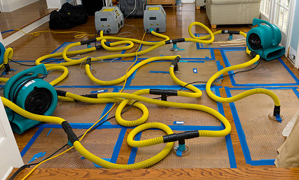 Professional Water Extraction technician working in Granby, MA